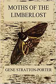 NCastaldoAuthor's tweet photo. Naturally Speaking: Women's History Month - Gene Stratton-Porter, Lore... https://t.co/zWEIyNdKLz
@LoreeGBurns @charlesbridge #WomensHistoryMonth #bookpairs #mgchat #STEM @SteamTeam2020 https://t.co/rjpVgF3syS