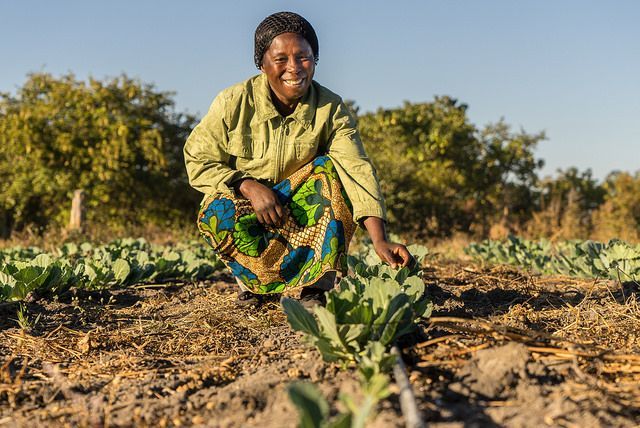 UN_Water's tweet photo. Water can help fight #ClimateChange.

Rainwater harvesting can secure water resources in regions with irregular rainfall and in those facing increasing precipitation variability: https://t.co/aqcskZAzdw

#WorldWaterDay #ClimateAction 
@CGIAR @IWMI_ https://t.co/reOy3riGKq