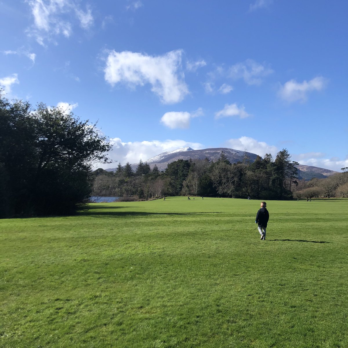 Fiona Kearney tweet media