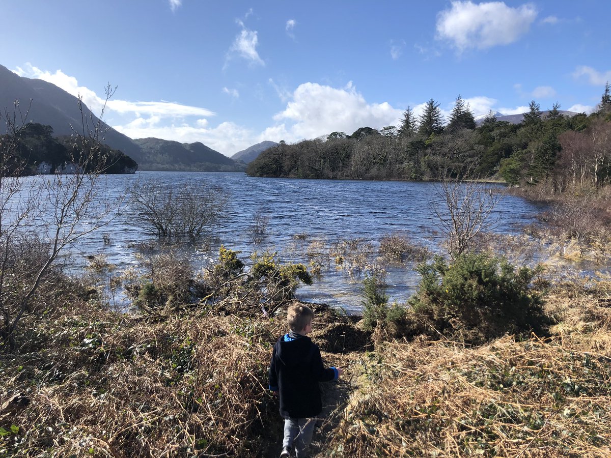 Fiona Kearney tweet media