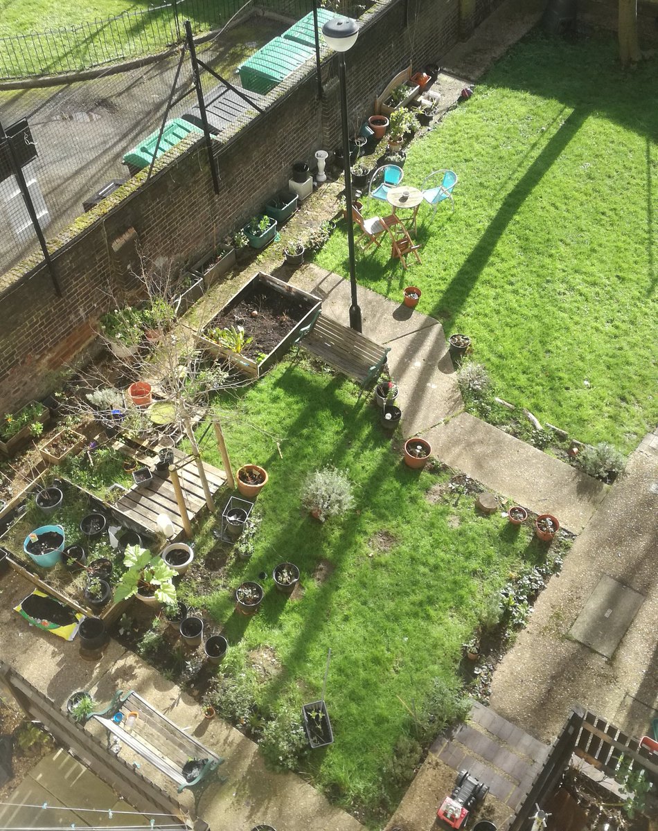 GardeningLm's tweet photo. The sun is shinning, an the weather is sweeet! 🎵 Some community gardening in the afternoon with the #boys an #matild 😍😍😍😍 #woooohoooooo comes to mind. 💚🌱💚🌱💚🌸💮 a great way to get to know your neighbours by sharing a #passion #bridging_a_gap @IslingtonLife @RHSSchools https://t.co/2weUJ9WkGj