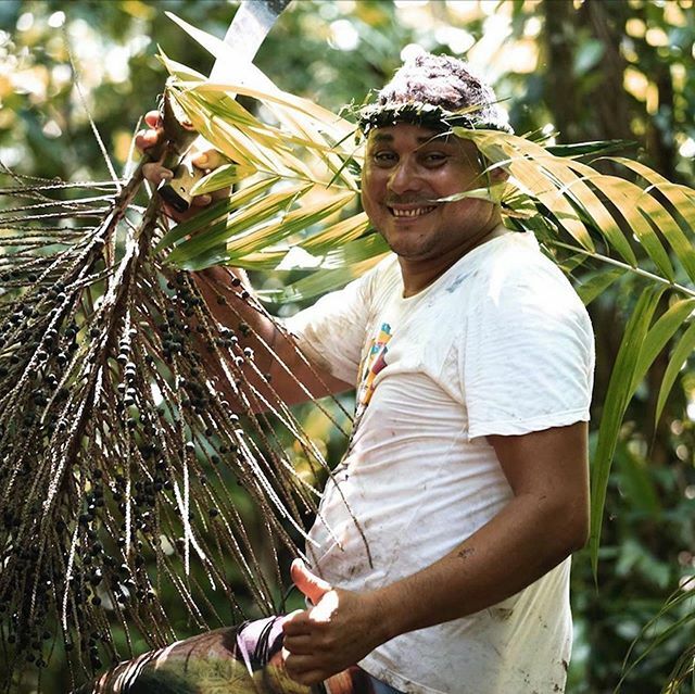 Sambazon UK tweet media