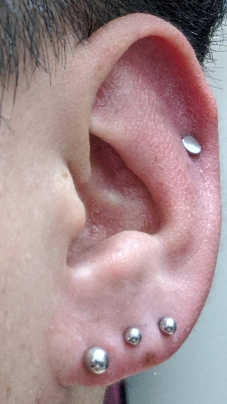 ひばり 手首 性別 二 連 ピアス 位置 Moonroadproductions Com