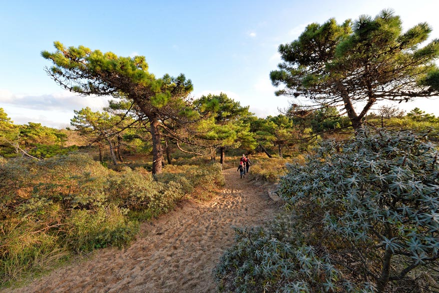 Wandelliefhebbers, opgelet! ⚠️⚠️⚠️ Wij raden aan je wandelschoenen boven te halen en naar De Panne te rijden. Van daar kan je een route helemaal tot in Berck-sur-Mer wandelen. Een kustwandeling om U tegen te zeggen. 🥾🌊

bit.ly/2wXBidL