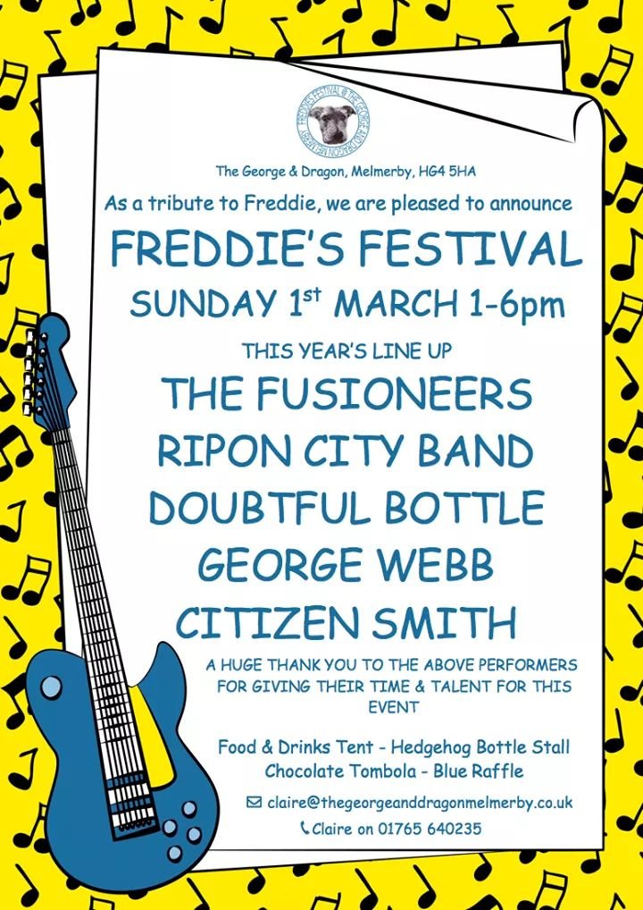 Freddie's Festival Today