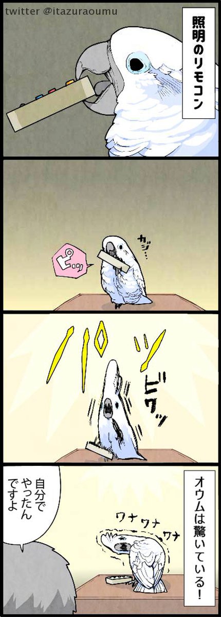 ?オウムとリモコン?

#漫画 #いたずらオウムの生活雑記 