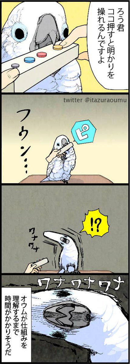 ?オウムとリモコン?

#漫画 #いたずらオウムの生活雑記 