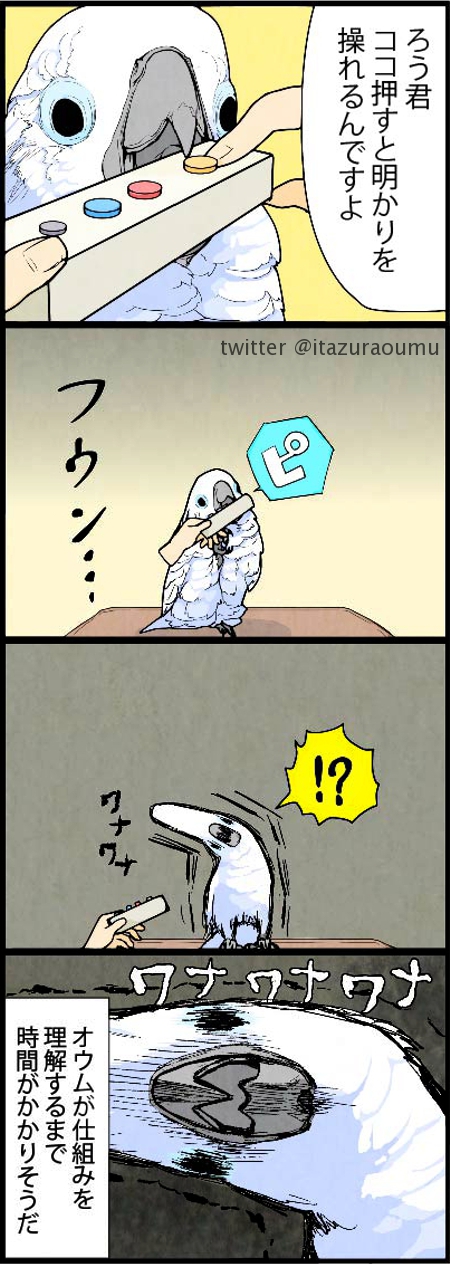 ろう オウムとリモコン 漫画 いたずらオウムの生活雑記 T Co 2bjqpeus9w Twitter