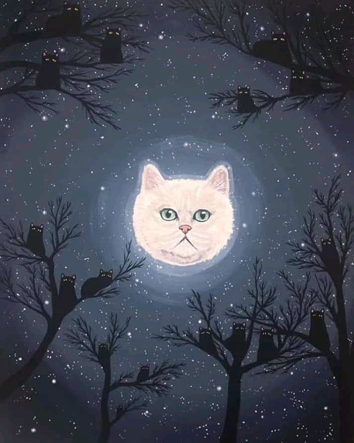 3000cats's tweet photo. 😻 https://t.co/G5oJlfECVx