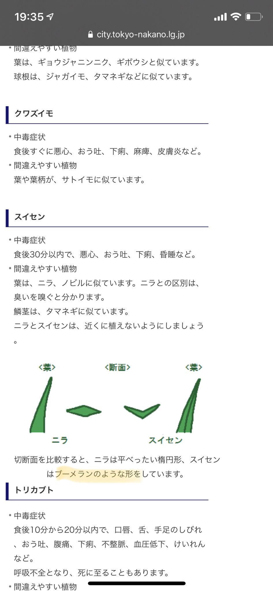 ブーメランの意味 用法を知る Astamuse