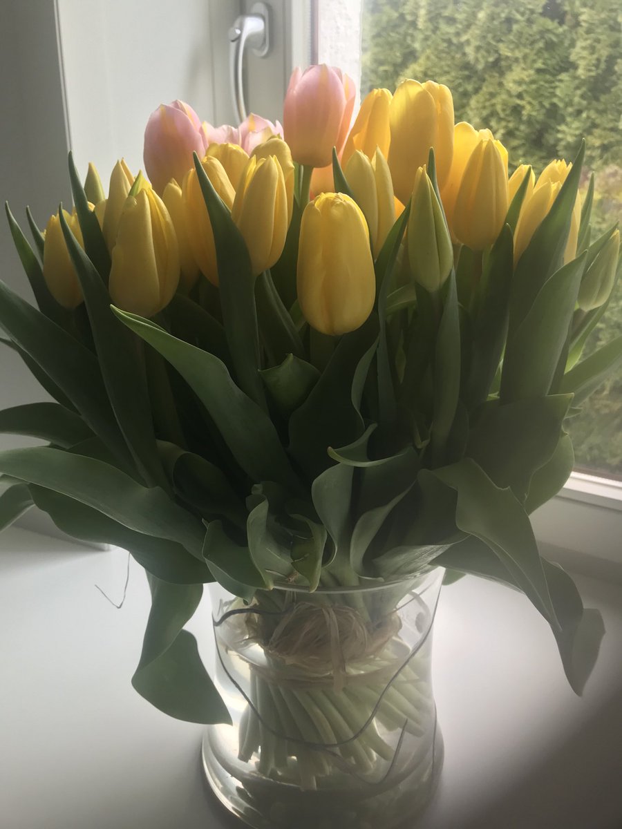 Beata Stelmach (@b_stelmach) on Twitter photo Dziś urodziny <a href="/ChopinFryderyk/">Fryderyk Chopin</a> 🎶Posłuchajmy razem Ballady No1G Minor... Pięknej niedzieli zycze😊 Dziś urodziny <a href="/ChopinFryderyk/">Fryderyk Chopin</a> 🎶Posłuchajmy razem Ballady No1G Minor... Pięknej niedzieli zycze😊