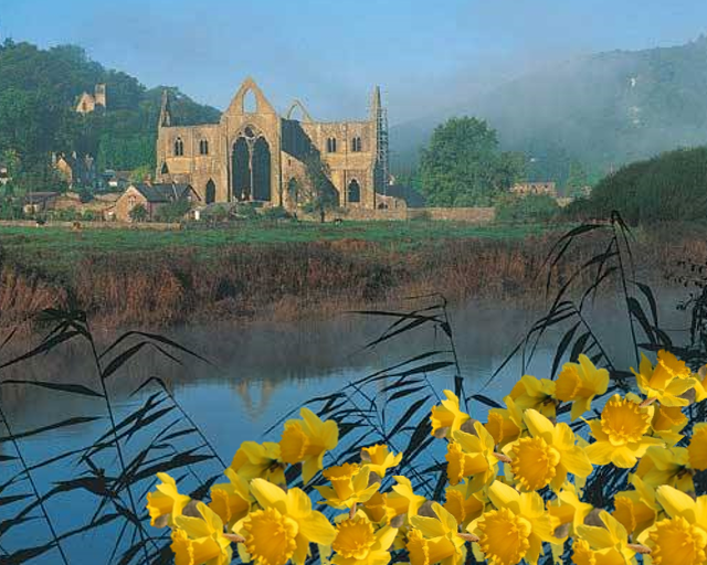 Dydd Gŵyl Dewi hapus oddi wrth bawb yng Abaty Tyndyrn 🏴󠁧󠁢󠁷󠁬󠁳󠁿

Happy St David’s Day from all at Tintern Abbey 🏴󠁧󠁢󠁷󠁬󠁳󠁿