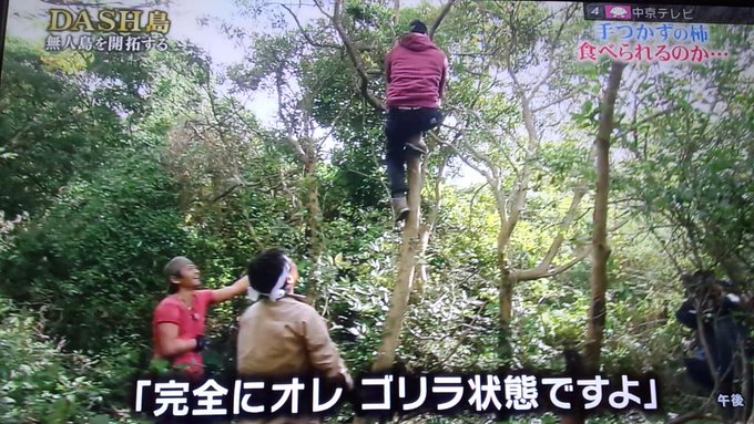 浅葱 縹 A Twitter 鉄腕dash 森本くんの野生児っぷりに リッチーもリーダーも ドン引きですが 我々視聴者は 覚えている この島には 既に猩々が 生息していた事を