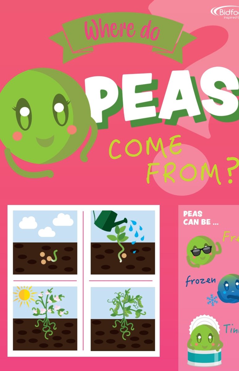 NEWyddCatering's tweet photo. We are taking part in the Eat them to defeat them campaign! Aimed at increasing vegetable consumption among primary aged children 
This week its peas https://t.co/8D23Jh18Kx