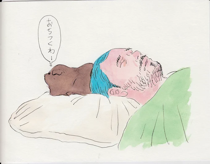 寝ているわたしにお尻をつけるのが好きみたいです 