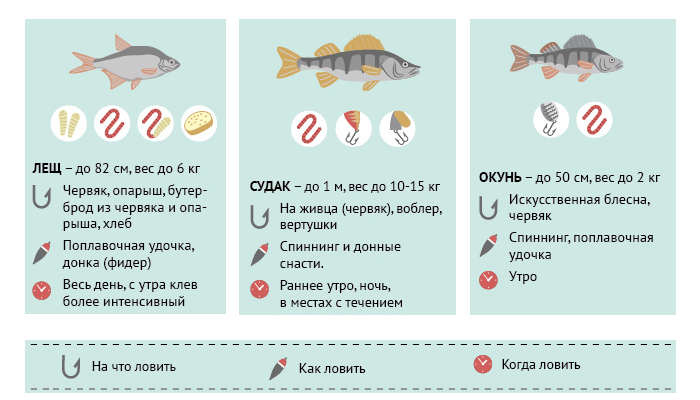FishPortal_UA's tweet photo. #рыбы #снасти #гделовить#какловить #интересно #рыбалка #fishportal https://t.co/zbENo8dl7u