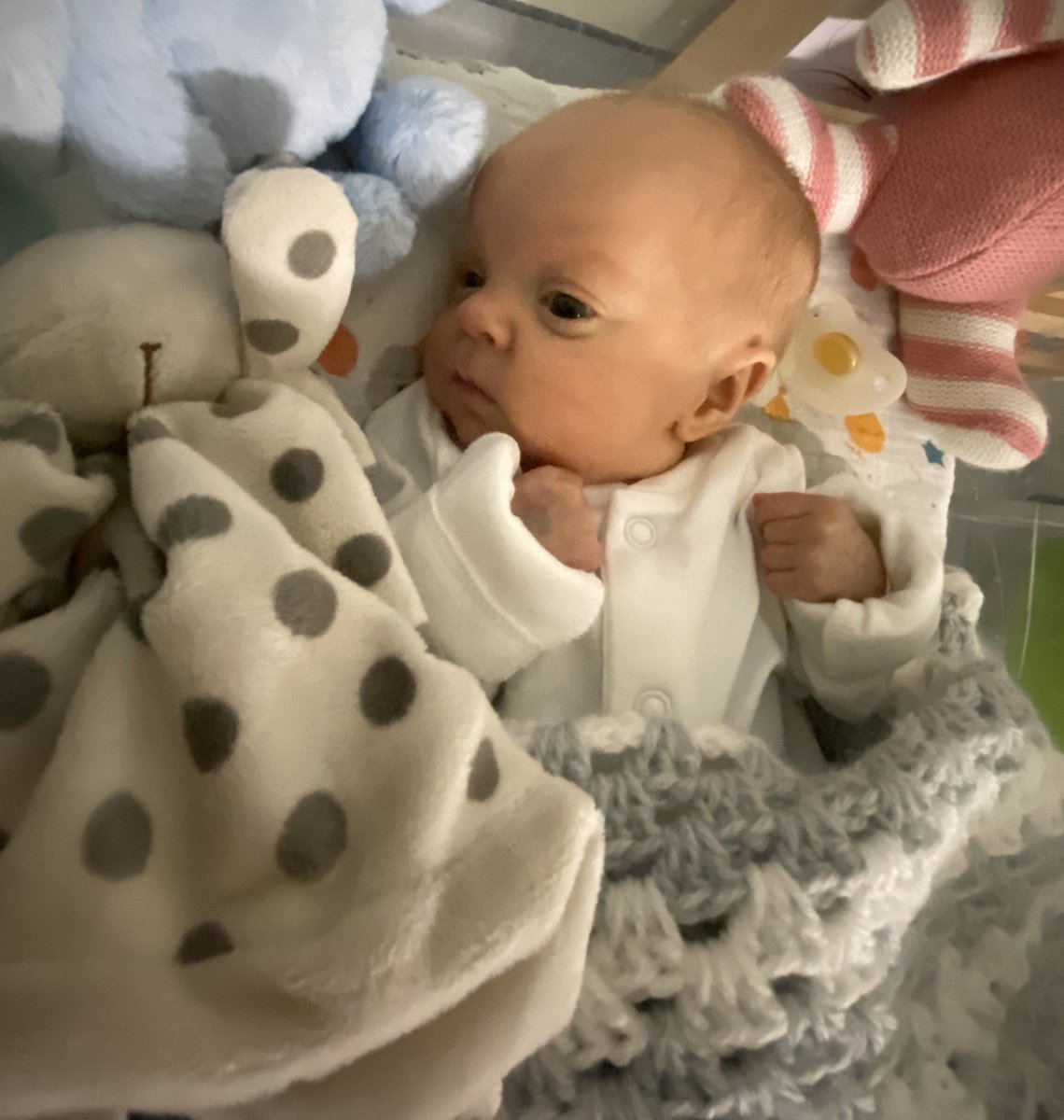 Diane_Compton's tweet photo. @Tyson_Fury  You have given us hope: Born at 24 weeks and weighing 1 pound just like you.... You are an inspiration to many! He’s almost 4 months old and hoping to leave the hospital soon 🤞🏻#fistslikefury 🤞🏻 https://t.co/5VTQ3LNhVg