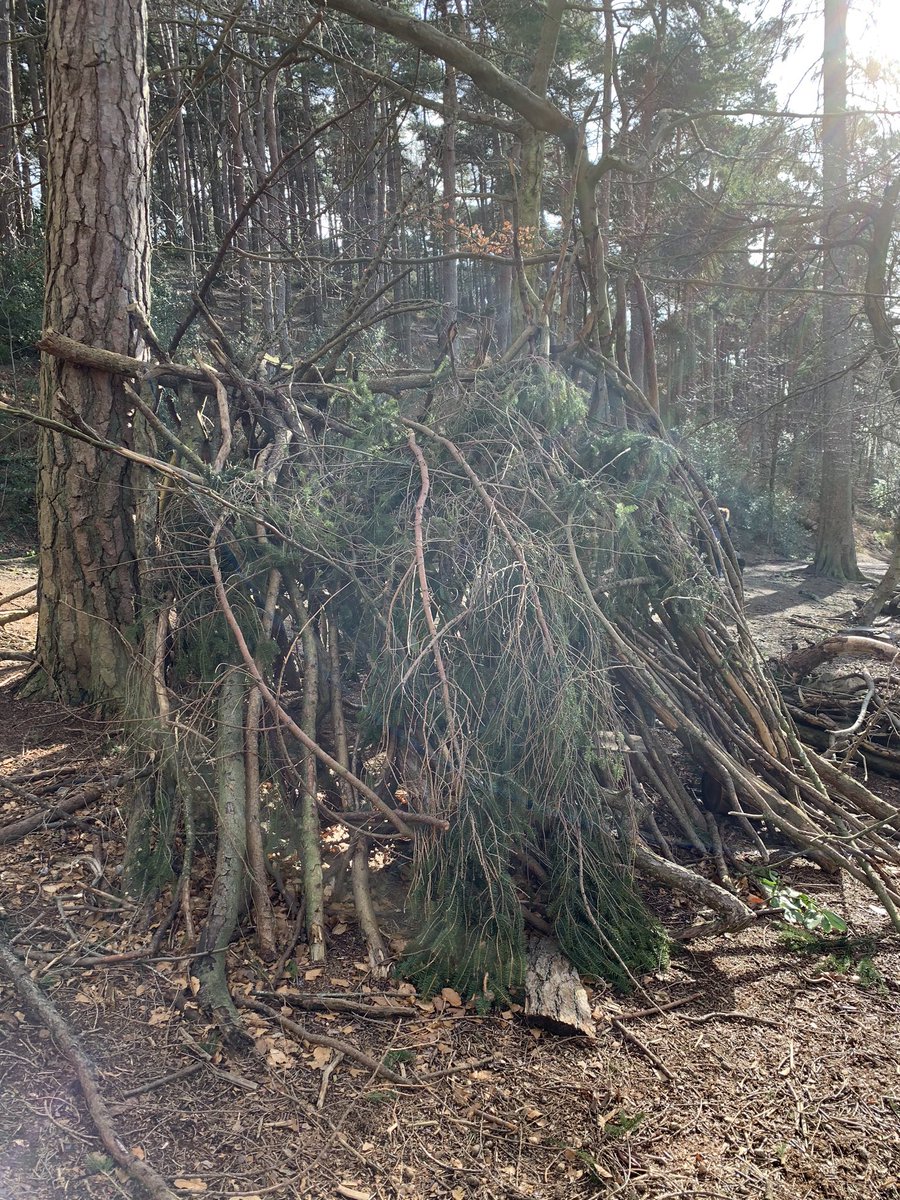 John Osborne tweet media