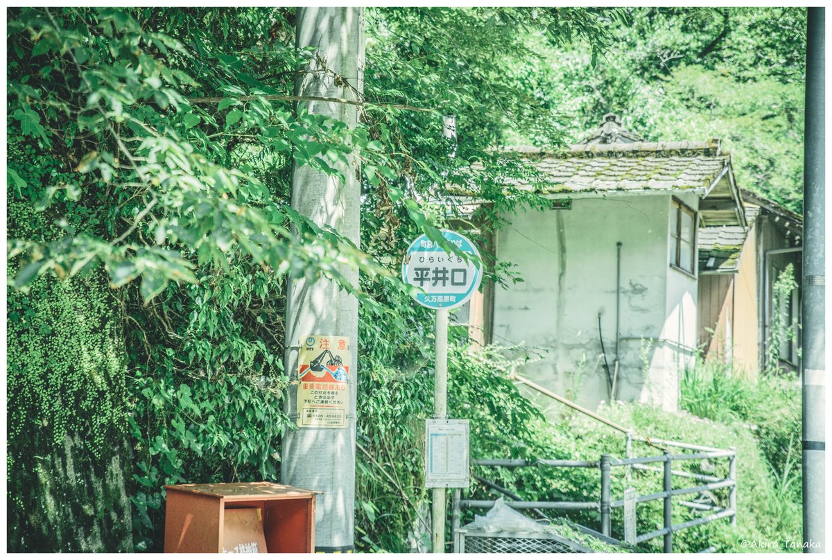 アキラ🌸 tweet media