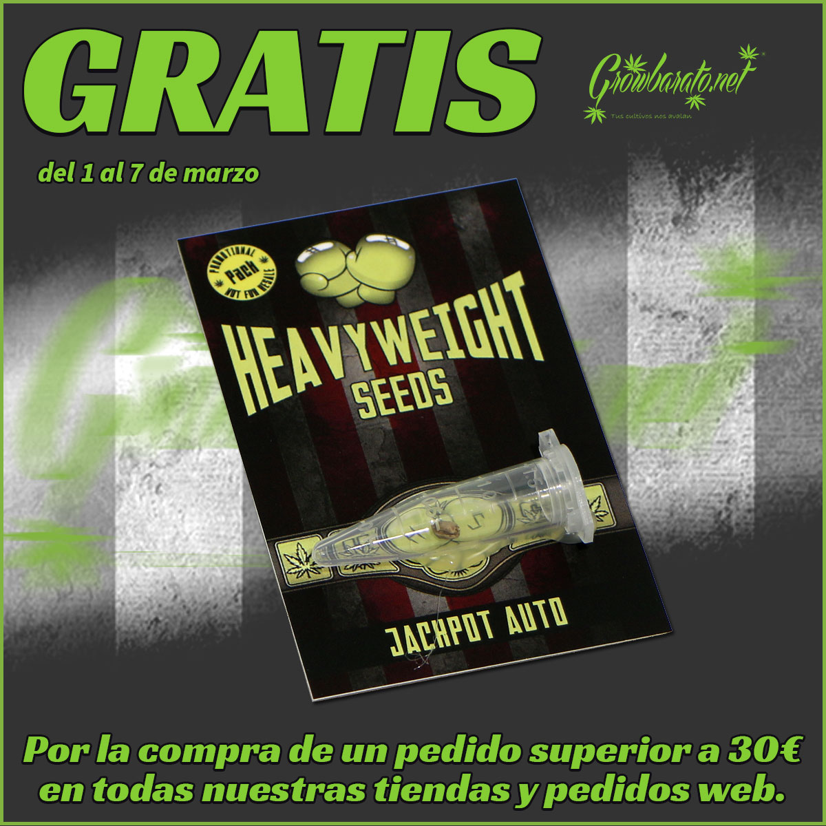 Grow Barato | GB The Green Brand tweet media