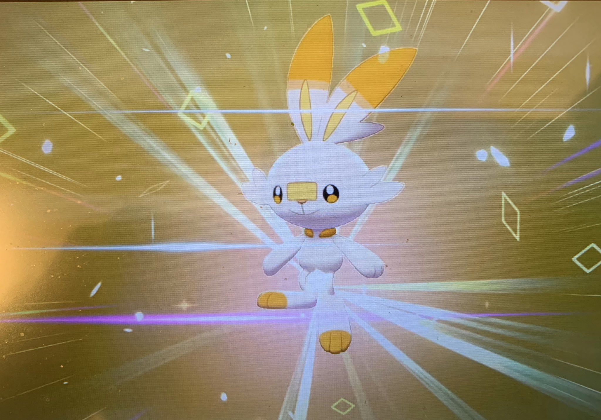 ポケモンやってる東大生 ポケモン交換 出 自己孵化産色違いエースバーンlv 100菱形エフェクト 飛び膝 不意打ち遺伝 求 オシャボ色証ミミッキュ オシャボs0色夢キョダイカビゴン等 求に書いたポケモン以外でも考慮はさせていただきますのでお気軽に