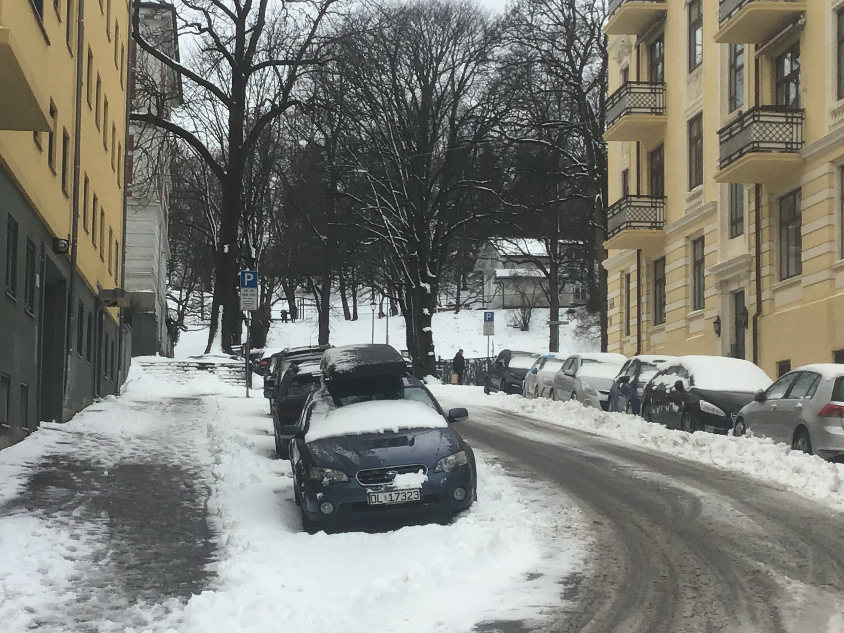 Snow in Oslo 