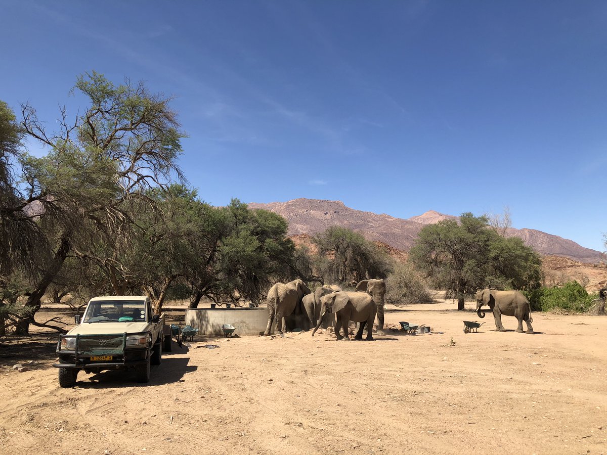 Paulien blikt terug op patrolweek! Dit was het tweede deel van haar reis voor het Desert Elephant Project in Namibië.🐘🇳🇦 Ze vertelt je over haar ervaringen. Ga jij ook vrijwilligerswerk doen? Wellicht heb je iets aan haar tips!🤩 Lees de blog hier➡️ bit.ly/2uE3odo