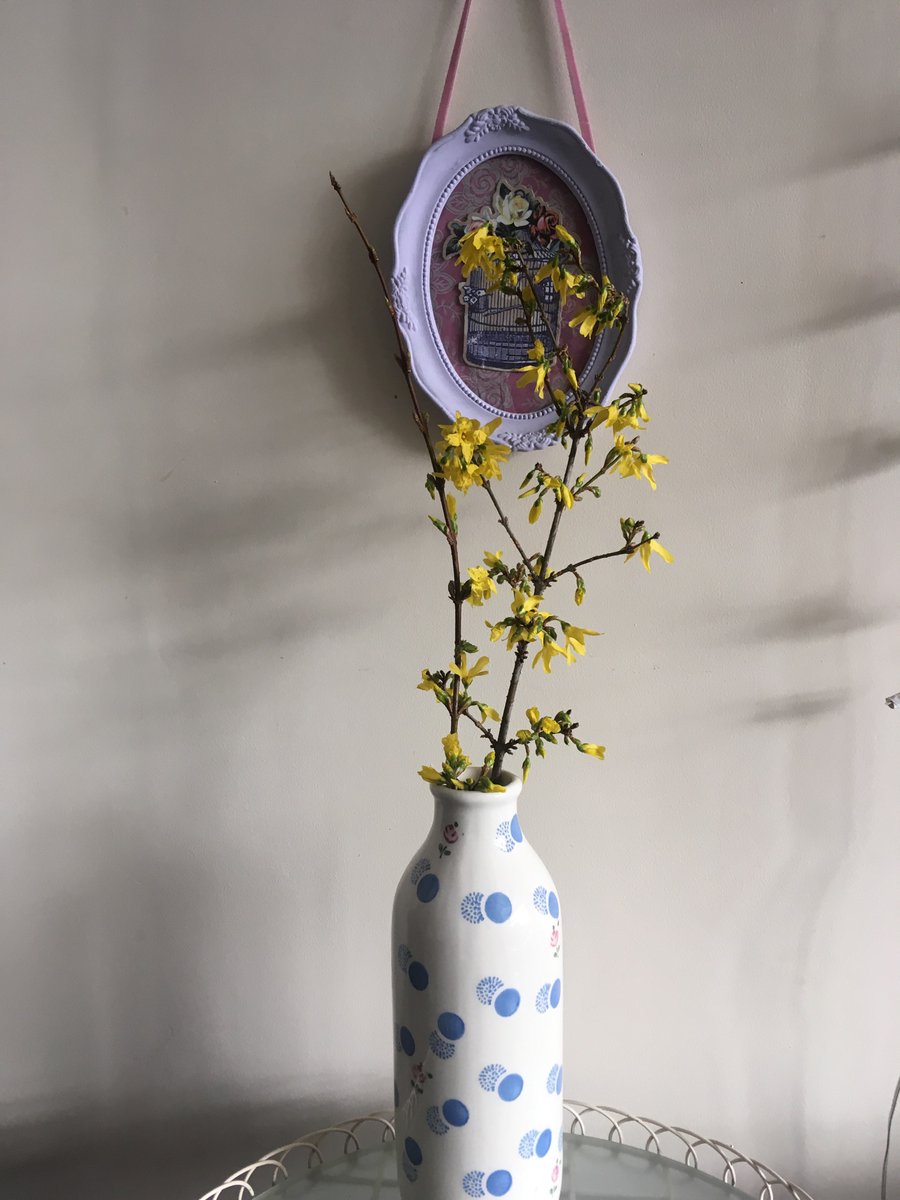 Juliebaird19's tweet image. Thanks to @silverpebble #MakingWinter and @RachelOliversMa bringing nature indoors really does to improve my emotional wellbeing.