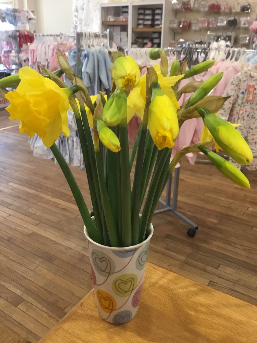 MollysLittle's tweet photo. Is spring coming? #babyshop #childrenswear #shoplocal @WhatsonSW @BoostTorbay @VisitDevon @TDABusiness @Tweeturbizuk @NetworkTorquay https://t.co/hV75vnwAQJ