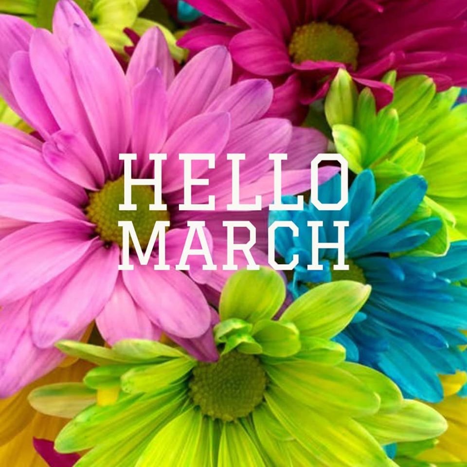 FeggicollaA's tweet photo. Happy New Month lovelies!

May the grace of this new month open fresh chapters of favour and blessings in all our lives. https://t.co/VKriy436Th