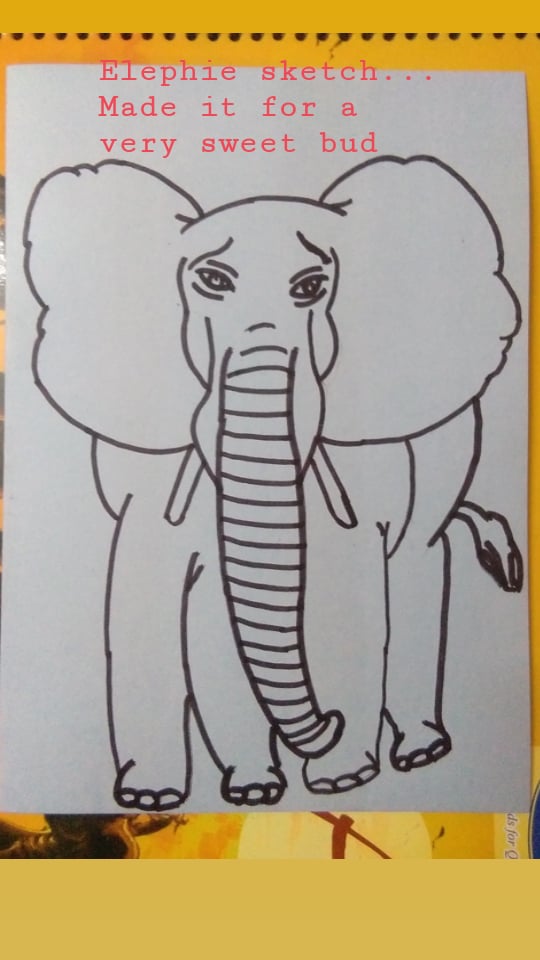 authorgurpreetd's tweet photo. How is my elephie?? 🤔🤔 #WritingCommnunity #sketching #elephie #elephant #sweetelephant https://t.co/ZWb1Pv6YAn