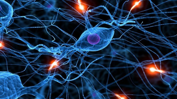 Deep Learning Prerequisites: Logistic Regression in Python

☞ ift.tt/2Lij2Rx

#Python

ryE4gDQtXCE