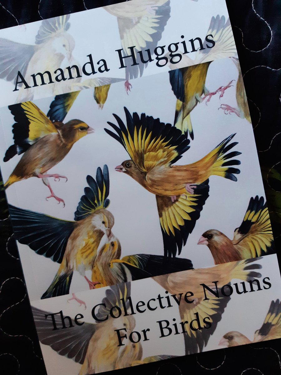 To celebrate the launch of my poetry collection, The Collective Nouns for Birds, I'm giving away a free signed copy. If you'd like to be in the hat then please retweet before midnight tomorrow!
