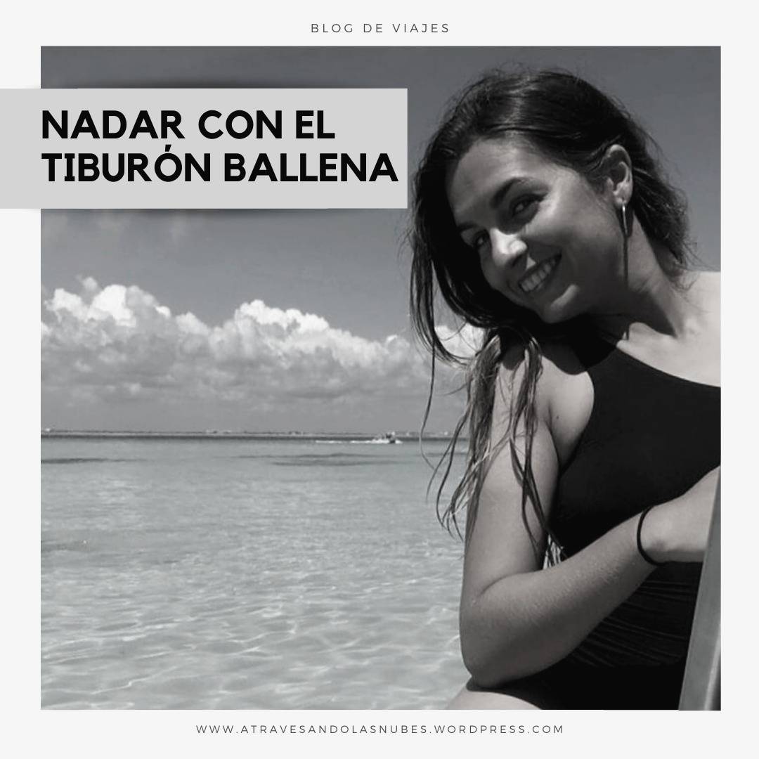 AtravesNubes's tweet photo. Nadar con el tiburón ballena fue una de las mejores experiencias de mi vida! 🐋 Te cuento más en https://t.co/tgDc6c0Aof https://t.co/hnauZ6kTSQ