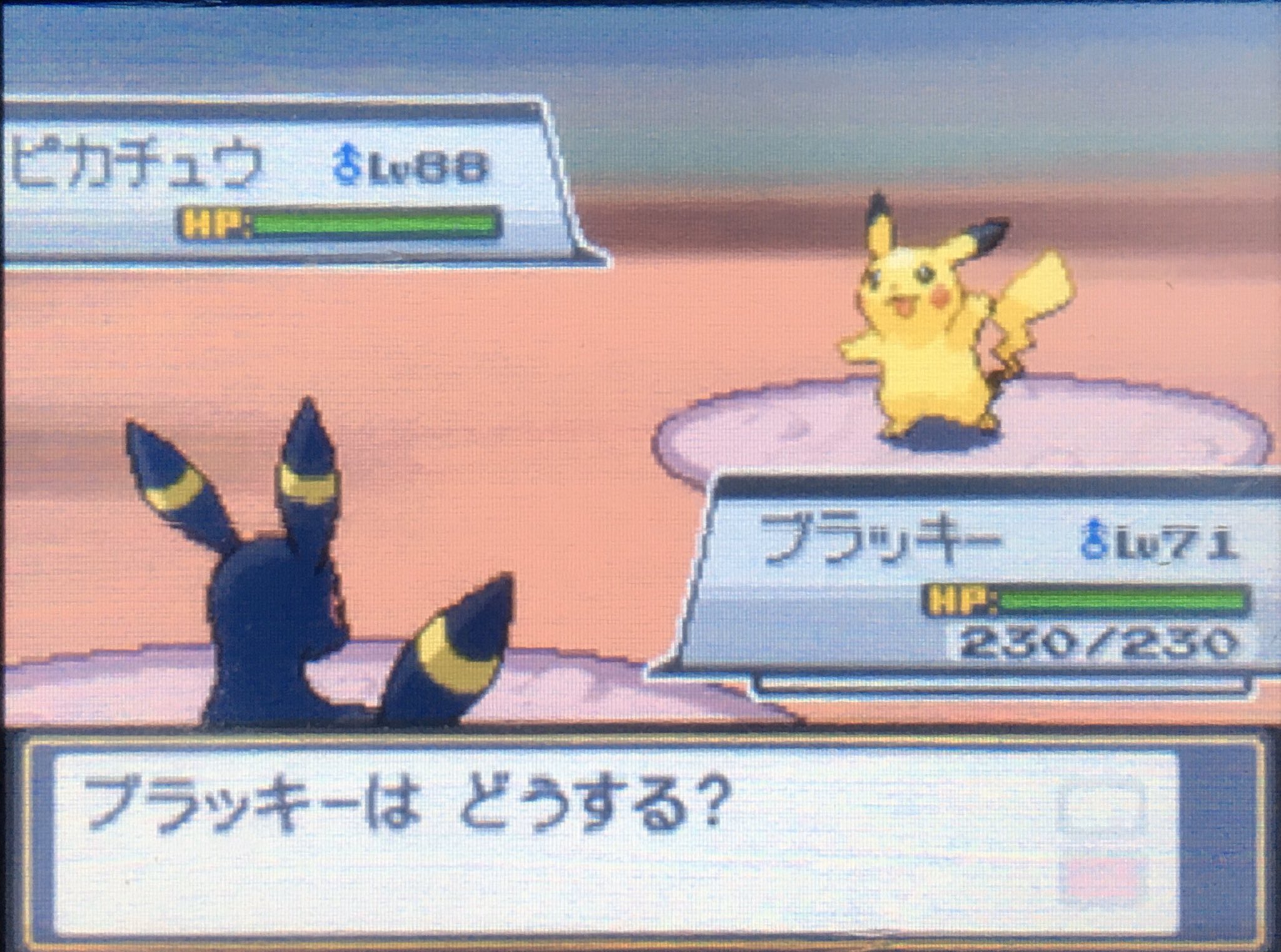 ナナ ポケモン 今話題のレッドさんに逢えた シロガネ山の頂上で無言で立ってた 強化四天王から約10レベルも上 レベル80代のptは鬼すぎて勝てない レッド Hgss シロガネやま ナナ ポケモン 今話題のレッドさんに逢えた シロガネ山の頂上で無言で立ってた 強化四天王から約10レベルも上 レベル80代のptは鬼すぎて勝てない レッド Hgss シロガネやま