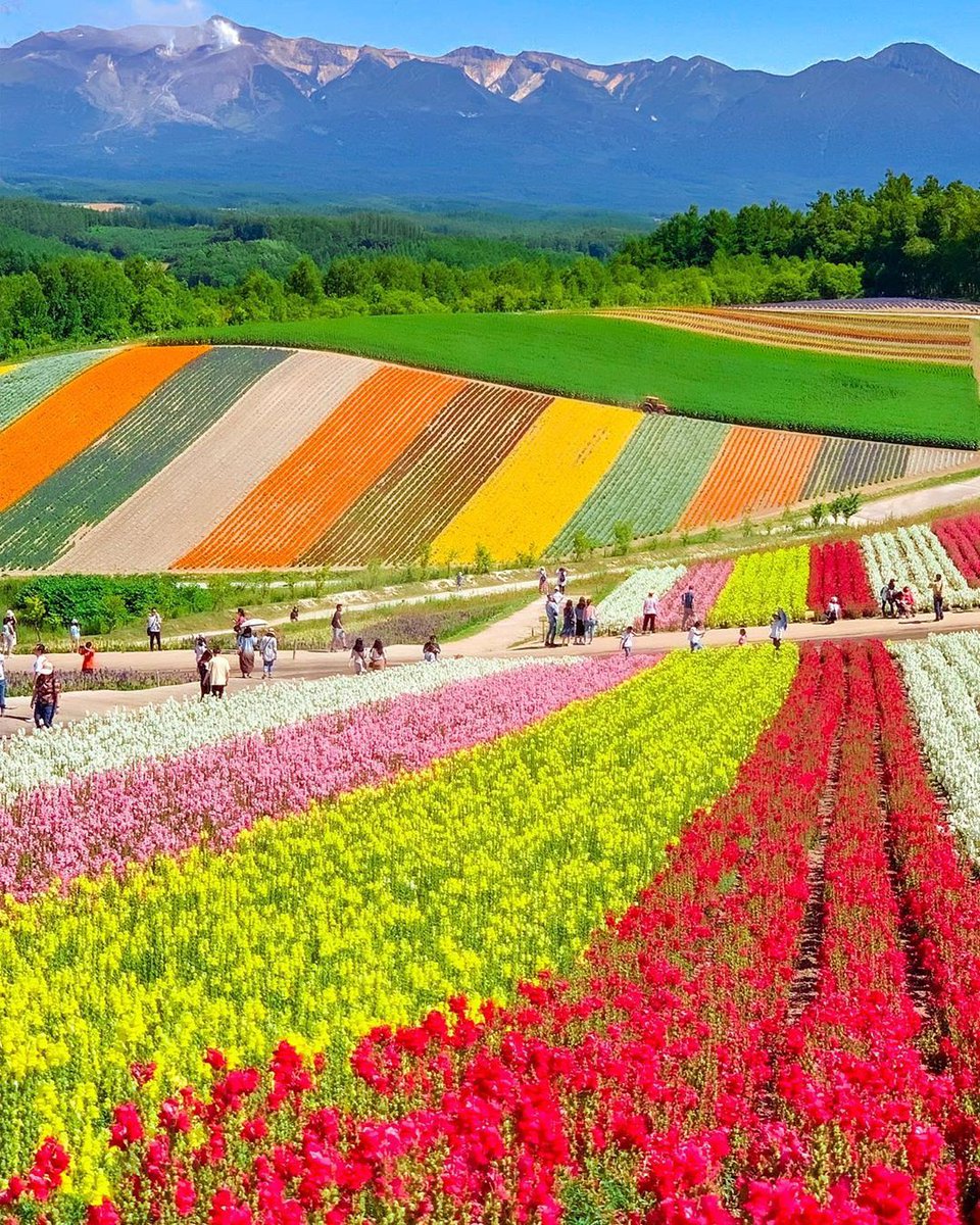 mgavsar77's tweet photo. Yurdumuza, Milletimize Mart Günleri Hayırlara vesile olsun
#MartGünleri #MarchDays #HappyMarchDays #HoşGeldinMart https://t.co/2gfv5KJtL8