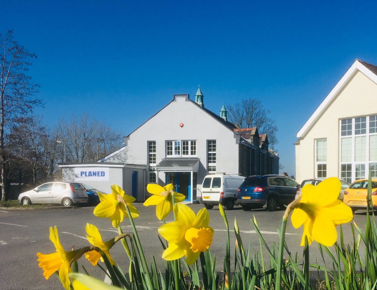 PLANED_Cymru's tweet photo. Dydd Gŵyl Dewi Hapus o'r #TimPLANED!
Happy St David’s Day from all at #TeamPLANED! https://t.co/0SC0MM3409