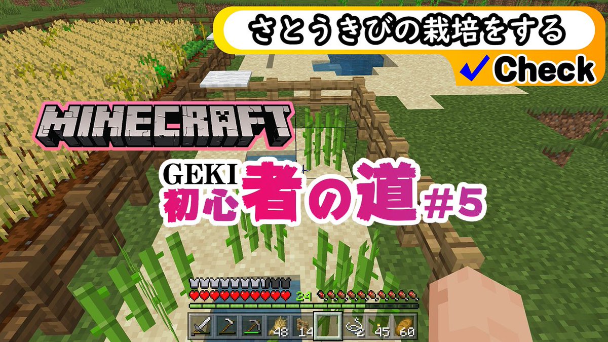 Uzivatel セパ ゲーム実況 Na Twitteru マイクラ 村の物資を奪う サトウキビ栽培 Geki初心者の旅 5回目 村にあるチェストは奪って問題ないという情報をもとにチェストから全部物資を奪うことにしました そして栽培したかったサトウキビ栽培に挑戦です T Co