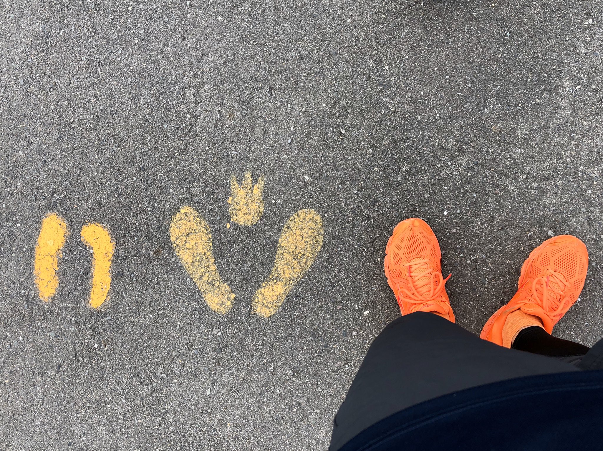 Kenchan 止まれの足型マークは各県で同じなのかな シューズも同じ色なので一緒に写真を撮ってみた W ランニング T Co Jnjs5fxegj Twitter