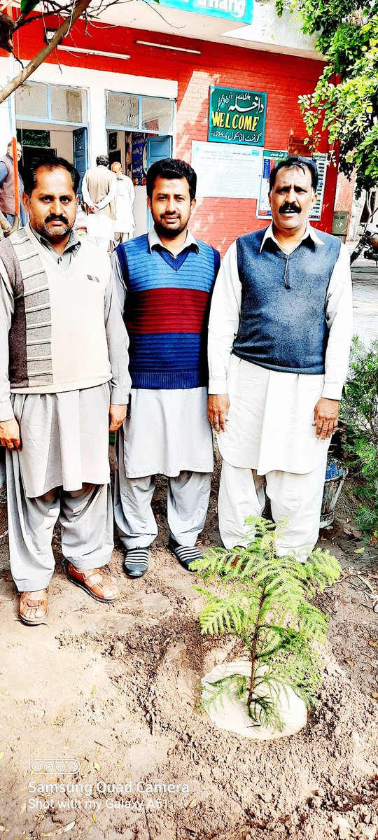 RealRamzan03's tweet photo. #PlantForPakistanDay
🌱🌴🌱 https://t.co/kR2qHcuTCS