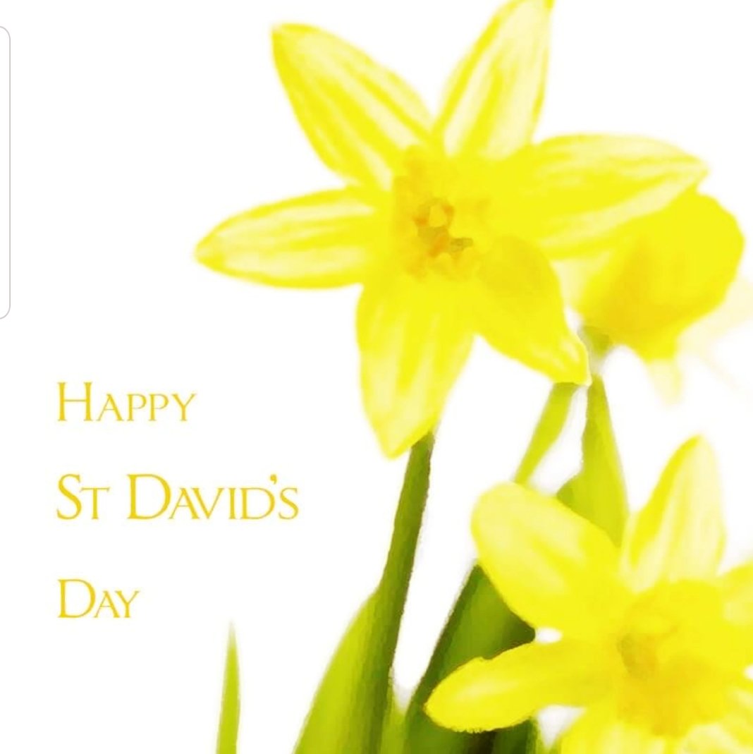 Happy St David's Day all!
Tickets are now on sale for the Branch Annual Dinner at The Jurys Hotel, Cardiff on July 4th.
If you would like to attend the dinner or you would like to sponsor the event then please email me via a.thomas@cjch.co.uk