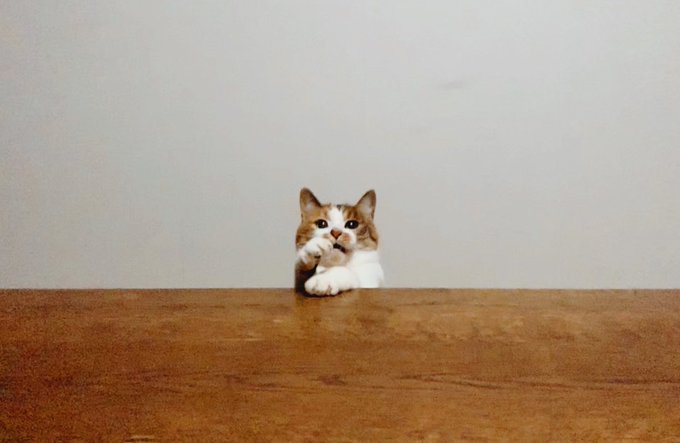 な 