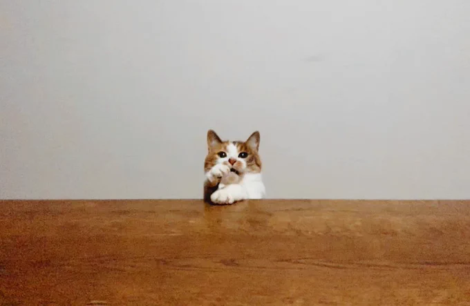 な 
