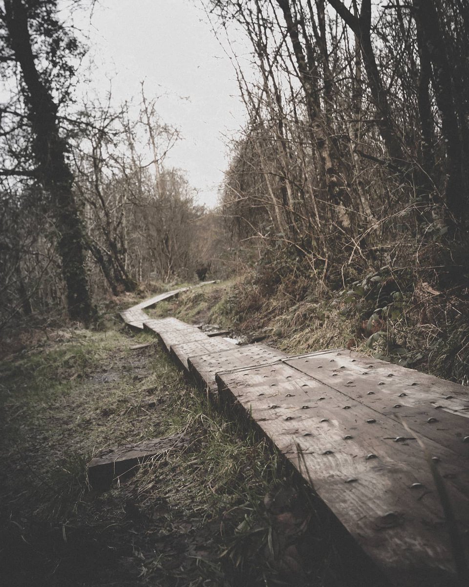 New vlog up! I'd appreciate anyone who subscribes! I'm just getting back into again, it'll get better as I go on. Cheers kiwi 🥝 m.youtube.com/watch?v=6HbsHy…