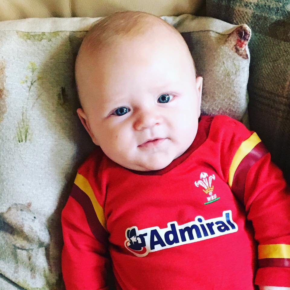 Brooksmeisters's tweet photo. Happy St David’s Day. 🏴󠁧󠁢󠁷󠁬󠁳󠁿🌼#landofmyfathers #cymruambyth #iamwales #godscountry #welshboy #growingtoofast https://t.co/ZyeojDZymd