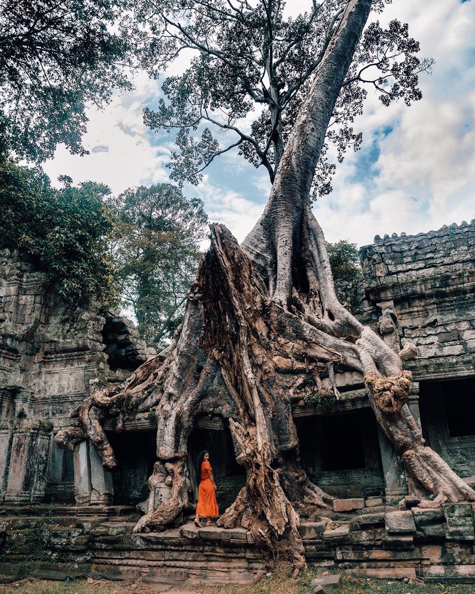 Quite literally, like a scene from a movie (Lara Croft to be specific.)