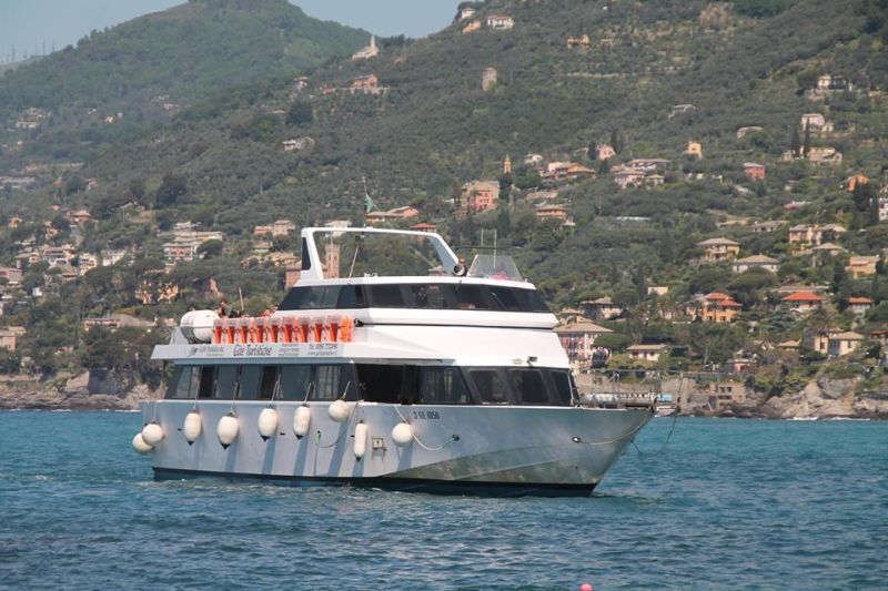 #genoacalling #ioviaggio
CrocierAcquario - Unisci l’emozione della visita all’Acquario di Genova con l’ esperienza di Whale-watching in mare aperto! Biglietto combinato Acquario di Genova e Whale Watching. Scopri qui: c-way.it/biglietto/bigl…