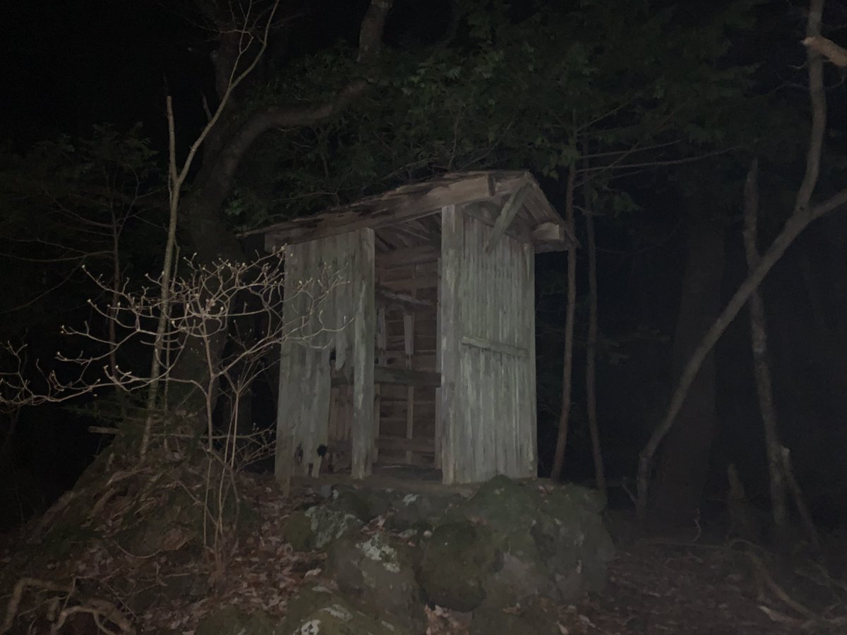 Tissueoishii 夜の青木ヶ原樹海に入ったった