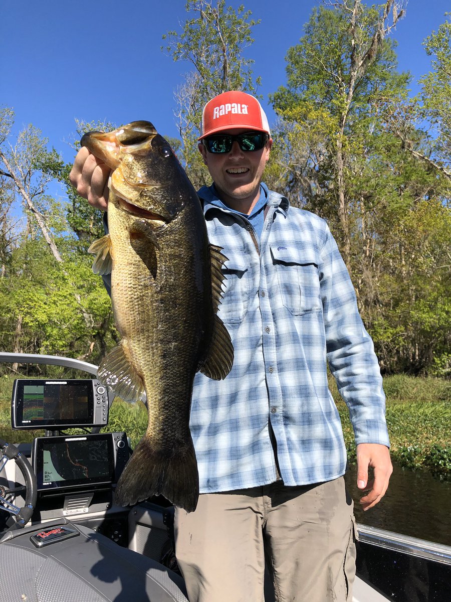 rondohm's tweet photo. It’s always good to get humbled for a few days. It makes putting the pattern together that much sweeter on these Florida fish. #floridabass #palatka https://t.co/QNcmKDjusI