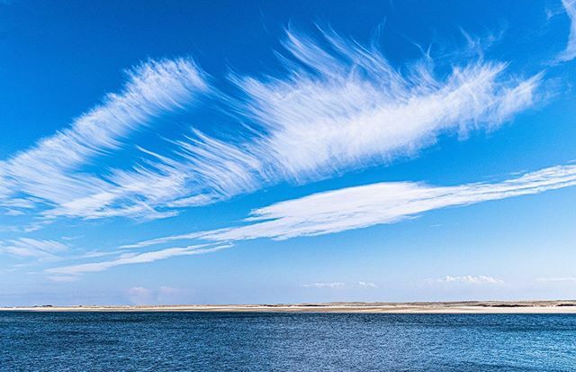 bpdesilets's tweet photo. This is what I saw yesterday while driving to open the gallery. Shore Road in Chatham can be distracting.
#chatham #chathamma #capecod #twitter #ocean #sky #beach #clouds #istoppedforthis #naturephotography #nature #blue #bluesky https://t.co/XrH35SWcsG https://t.co/7SxyHp2BUW